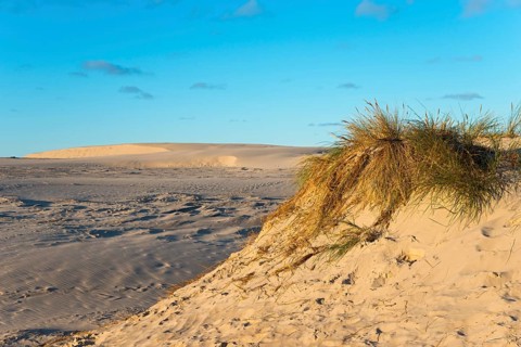 Travelling dune