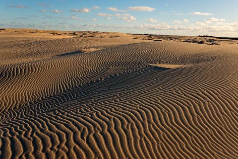 Travelling dune