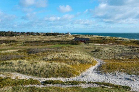 Dune landscape with the grey lighthouse in the background
