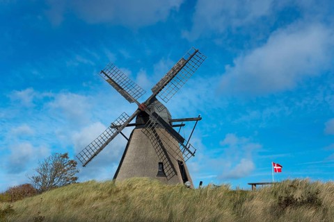 Dutch Mill