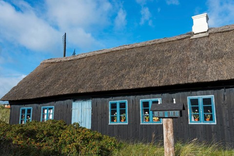 Thatched house