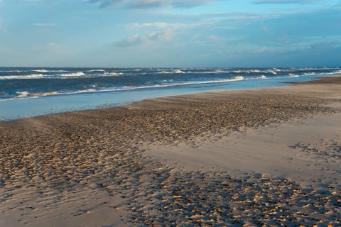 Sand blowing on the North Sea beach at the meeting of the North Sea and the Baltic Sea
