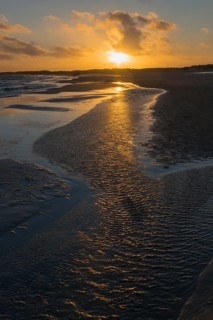 Baltic Sea beach at sunset at the meeting of the North Sea and the Baltic Sea