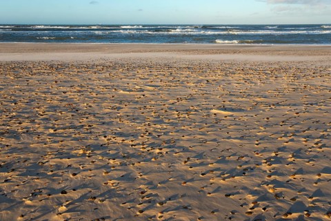North Sea beach at the meeting of the North Sea and the Baltic Sea