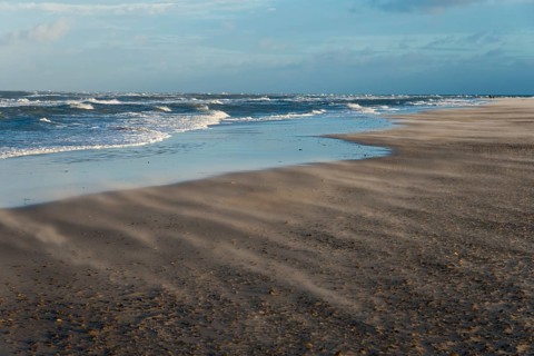 Sand blowing on the North Sea beach at the meeting of the North Sea and the Baltic Sea
