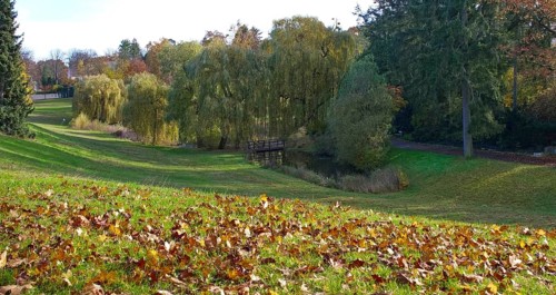 Autumn in Thielpark