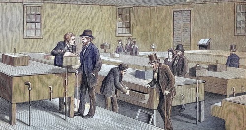 Incubator