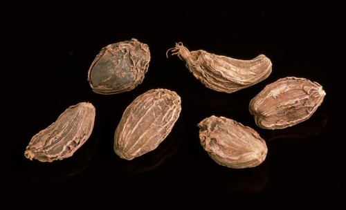 Black cardamom
