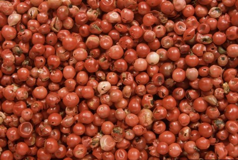 Pink pepper