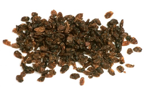 Berberis vulgaris.dried berries of the barberry