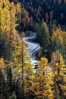 Car on the Ofenpass road