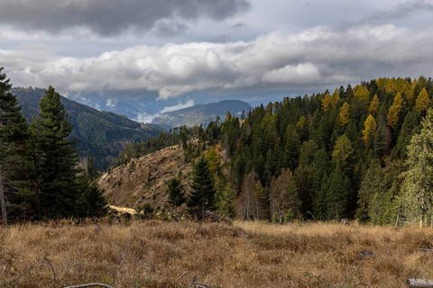 View of the valley with storm damage