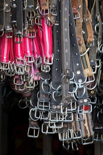 Belts with buckles as element of clothing design