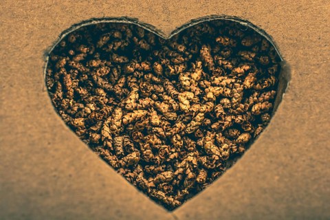 Love icon and Valentine's day wording on torn paper
