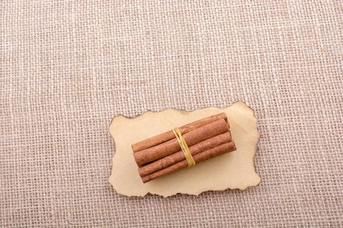 Bundle of cinnamon sticks on a linen canvas background