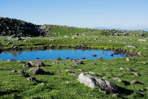 Highland lake in green natural background in Artvin province of Turkey