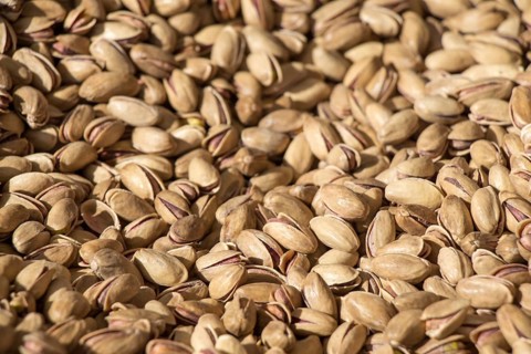 Pistachio nuts with shell ready to eat
