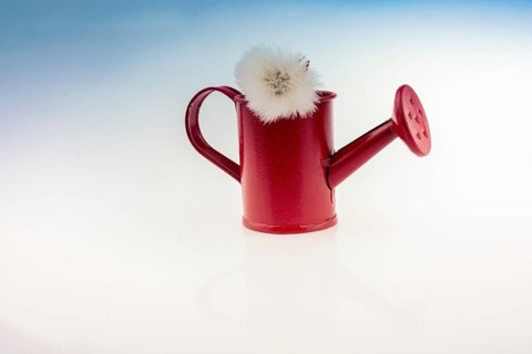 Little red model watering can with flower on top it