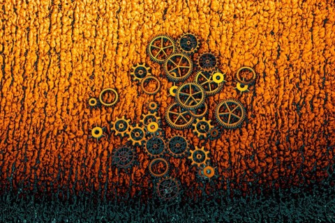 Gear wheels as The concept of mechanism
