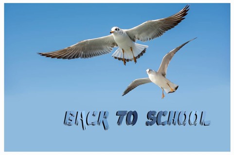 Back to school wording as educational concept