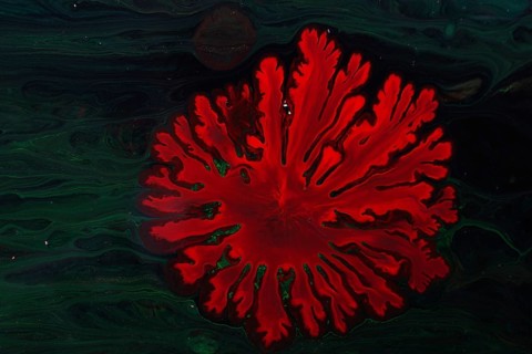 Ebru marbling handmade art