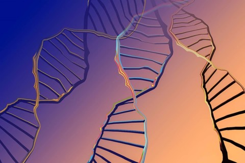 Genome sequencing concept of genome editing. Biotechnology of molecule