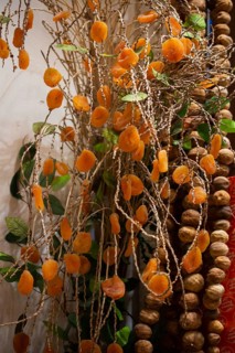 Dried apricots hanging on tree branch close up in a market
