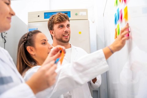 Side view of a group of creative process using adhesives notes in a cancer research laboratory