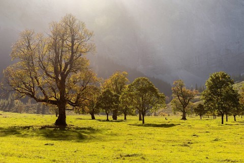 Autumn atmosphere in the Engtal