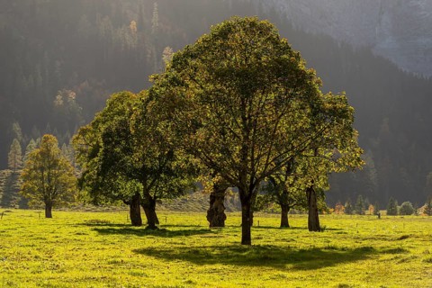 Autumn atmosphere in the Engtal