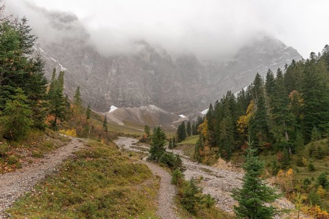Fog in the Karwendel nature park Park
