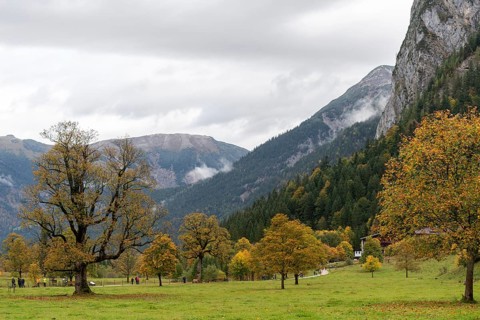 Early morning fog in the Karwendel nature park Park