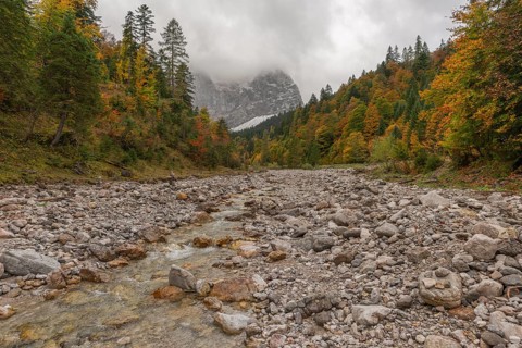 Early morning fog in the Karwendel nature park Park in Engtal