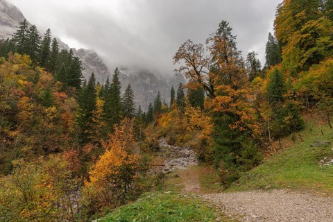 Early morning fog in the Karwendel nature park Park in Engtal