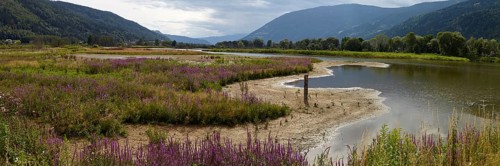 Bleistaetter Moor European nature reserve