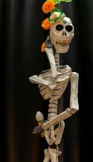 March of the Skeletons