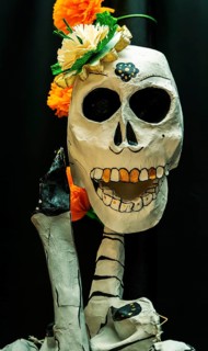 March of the Skeletons