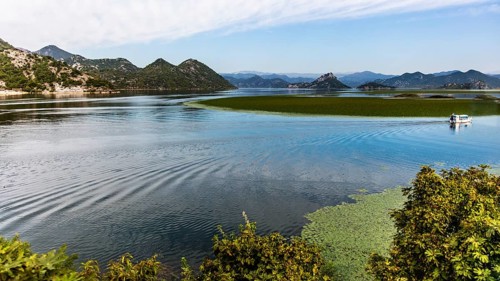 Natural paradise and national park Lake Scutari