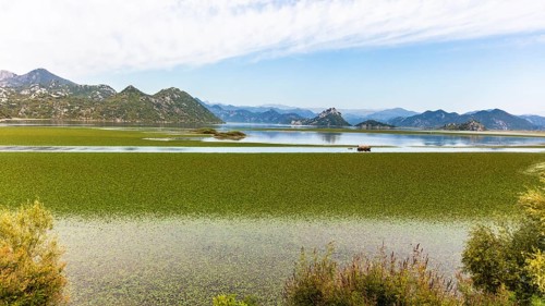 Natural paradise and national park Lake Scutari