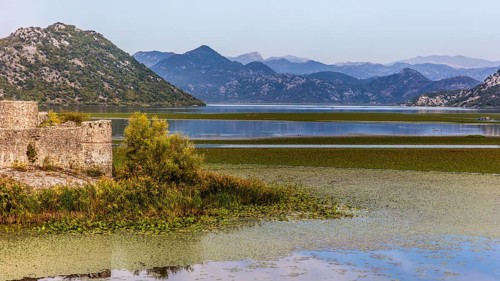 Natural paradise and national park Lake Scutari