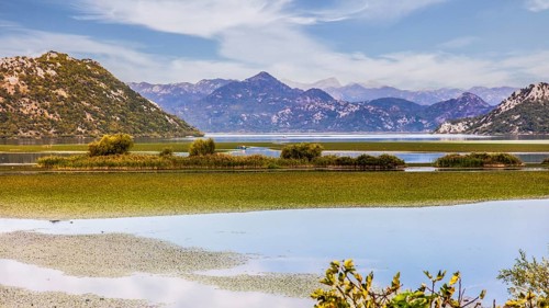 Natural paradise and national park Lake Scutari