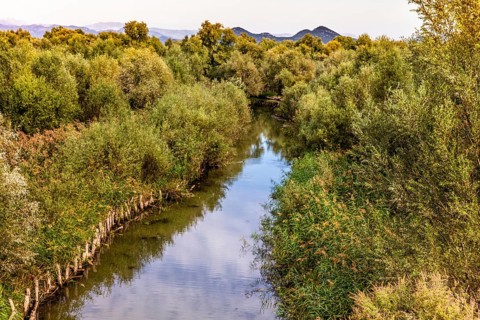 Natural paradise and national park Lake Scutari