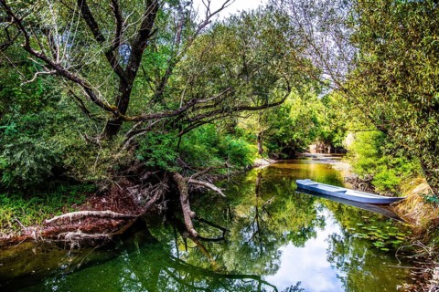 Natural paradise and national park Lake Scutari
