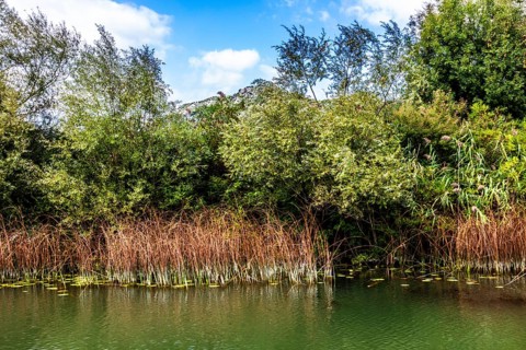 Natural paradise and national park Lake Scutari