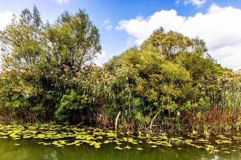 Natural paradise and national park Lake Scutari