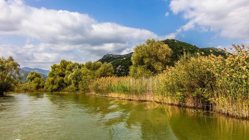 Natural paradise and national park Lake Scutari