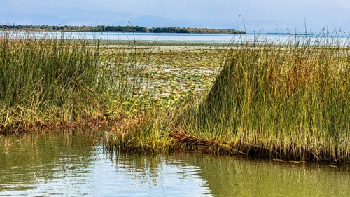 Natural paradise and national park Lake Scutari