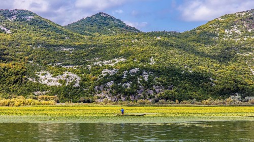 Natural paradise and national park Lake Scutari
