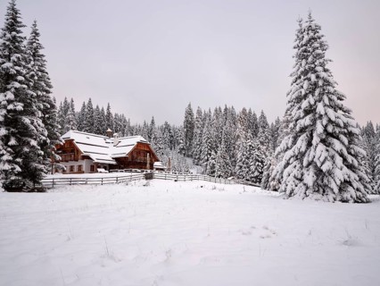 Winter pasture