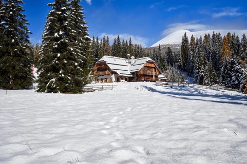 Winter pasture
